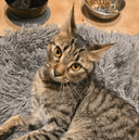 Photo of Gloria