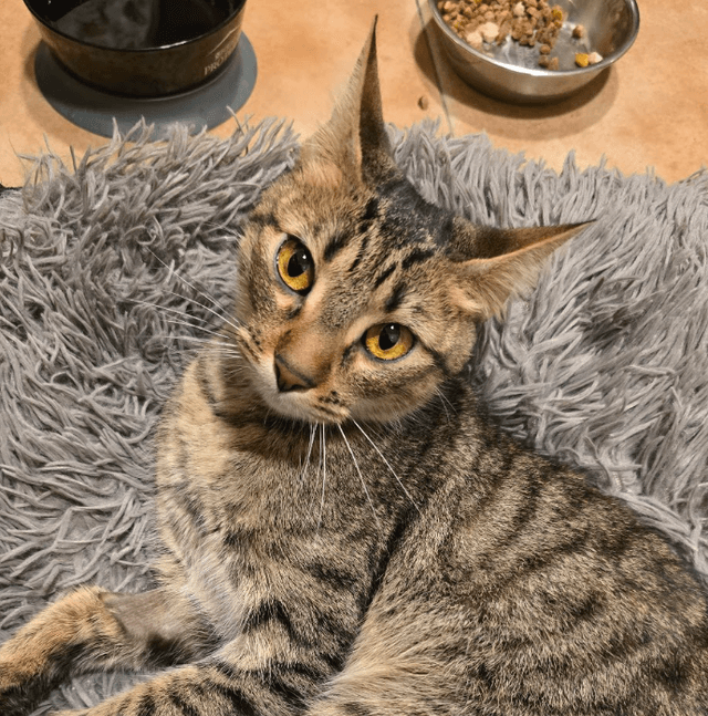 Photo of Gloria