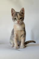 Photo of Leonela