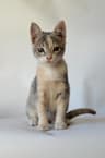 Photo of Leonela