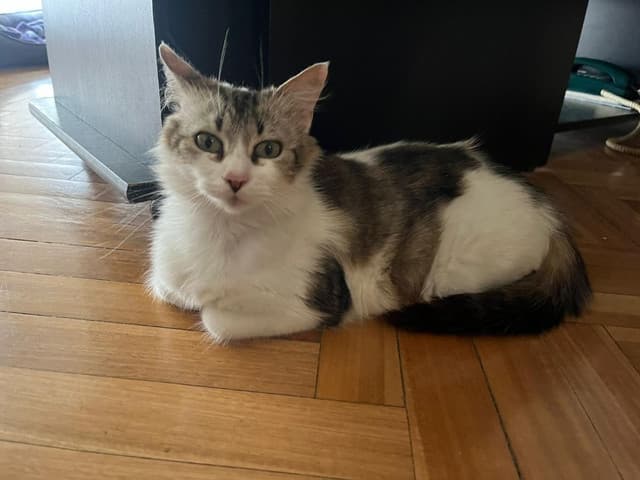 Photo of Margarita