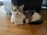 Photo of Margarita