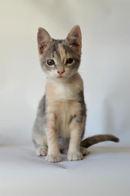 Photo of Leonela